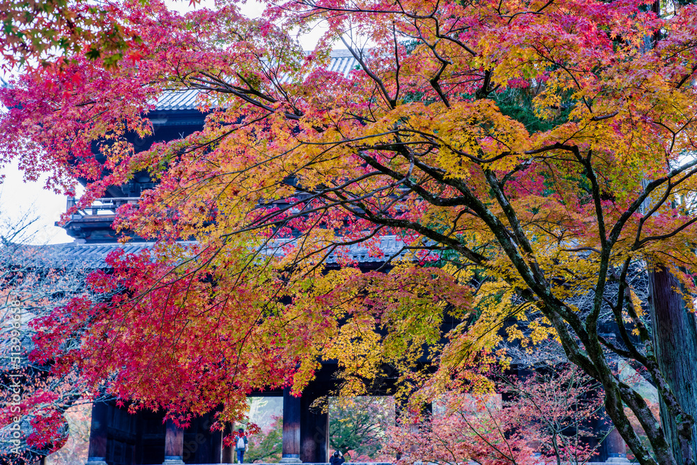 京都南禅寺周辺の紅葉