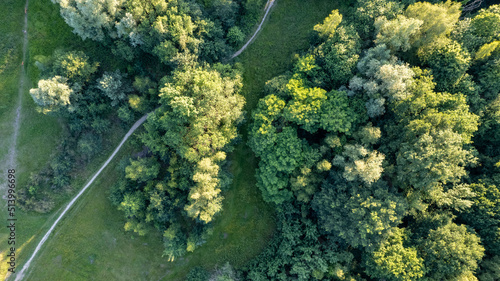 Aerial top view rural road in the forest, dirt road or mud road and rain forest, Aerial view road in nature, Ecosystem and healthy environment. High quality photo © Bjorn B