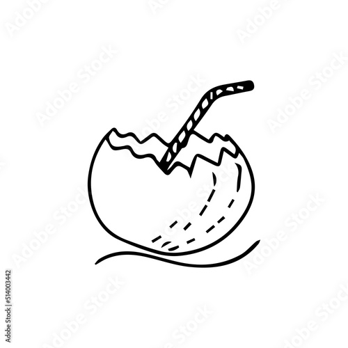 Doodle vector coconut drawn. Cocktail with a straw