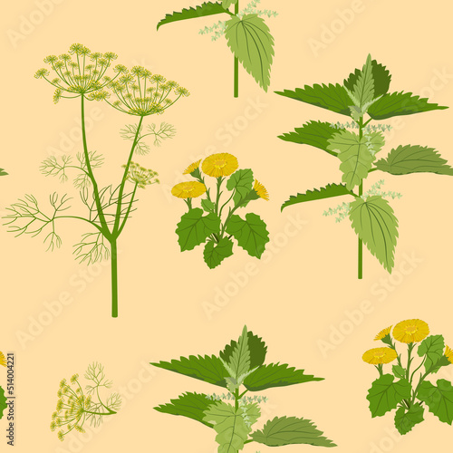 Wildflowers and herbs on a beige background.