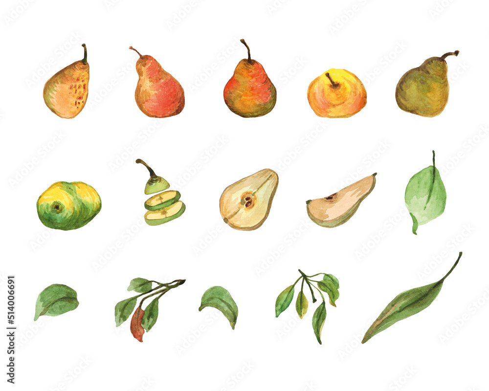 Isolated watercolor set of pears with leaves on a white background Isolated watercolor set of pears with leaves on a white background