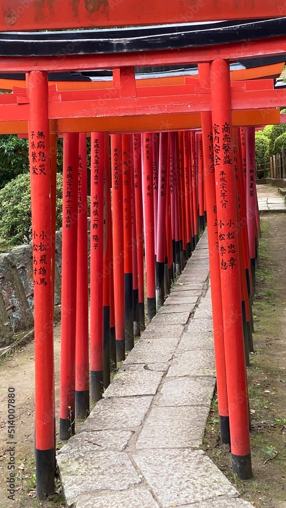 The passage of thousand tori at Japanese honorable shrine built by the 5th shogunate of Edo period, “Tokugawa”, the “Nezu Jinjya” with its vibrant scenery following the tradition The passage of thousand tori at Japanese honorable shrine built by the 5th shogunate of Edo period, “Tokugawa”, the “Nezu Jinjya” with its vibrant scenery following the tradition