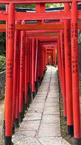 The passage of thousand tori at Japanese honorable shrine built by the 5th shogunate of Edo period     Tokugawa     the    Nezu Jinjya    with its vibrant scenery following the tradition