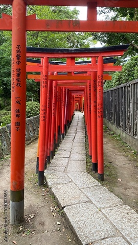 The passage of thousand tori at Japanese honorable shrine built by the 5th shogunate of Edo period, “Tokugawa”, the “Nezu Jinjya” with its vibrant scenery following the tradition