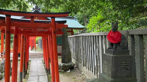 Thousand Tori and the guardian / messenger of god statue, beautiful ancient historic site of Japan, year 2022 June 29th photo