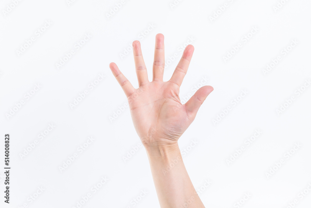 The various gestures of one hand The various gestures of one hand
