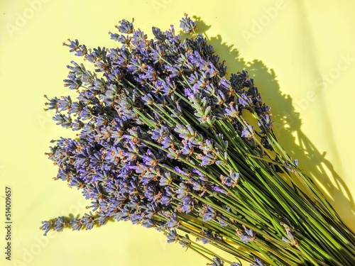 Fragrant lavender purple bouquet lies on yellow surface