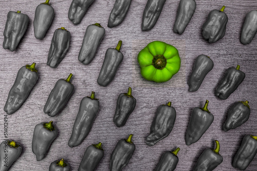 Grüne Paprika auf grauem Hintergrund direkt von oben fotografiert