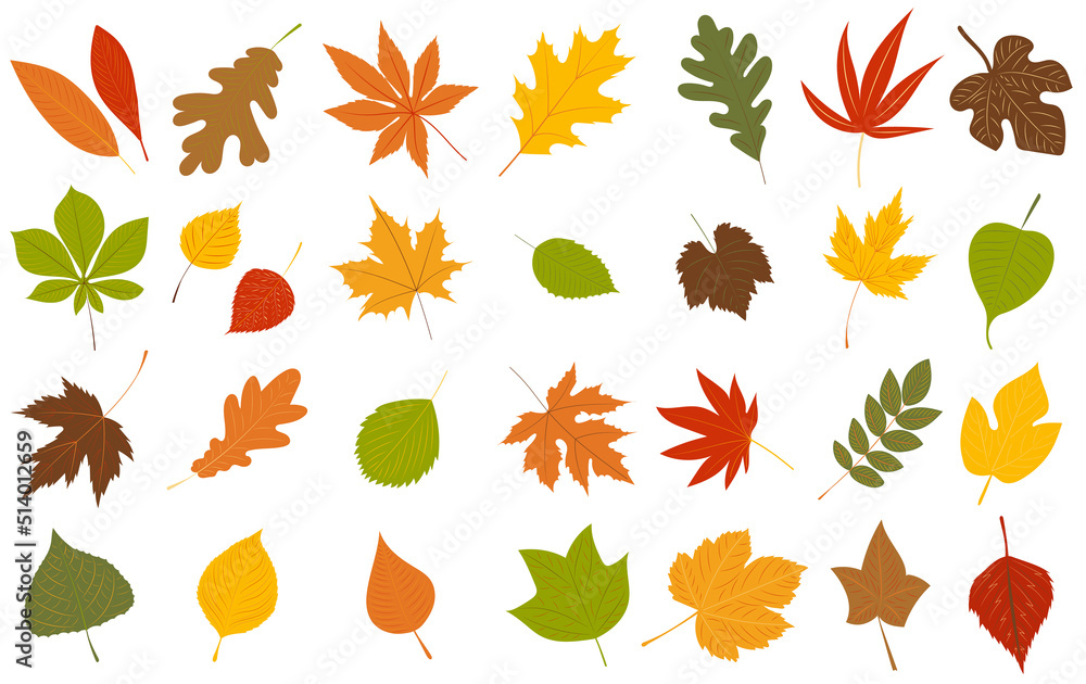Fototapeta premium autumn leaves set in flat design, isolated