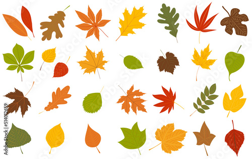 autumn leaves set in flat design, isolated