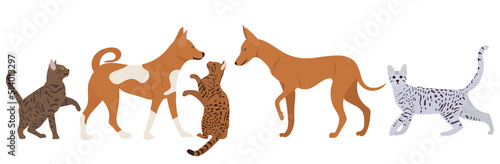 cats and dogs are playing in flat design, isolated vector