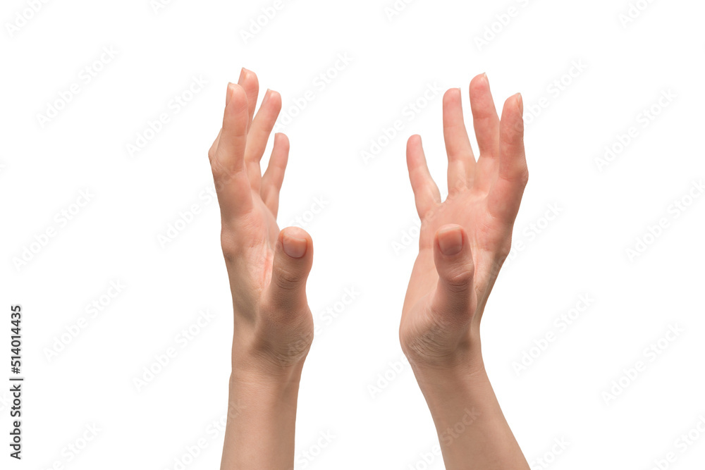 Woman hand isolated on a white background. Woman hand isolated on a white background.