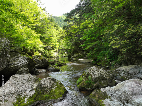 愛媛県内子町　小田深山渓谷　腰のばし岩周辺の風景