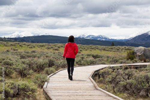 Adventurous Woman Hiking on Boardwalk in American Landscape. Yellowstone National Park, Wyoming, United States. Adventure Travel.