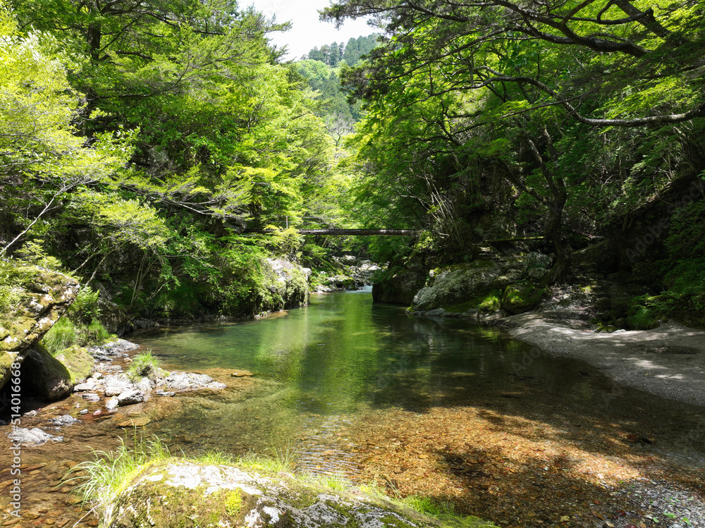 愛媛県内子町 小田深山渓谷 廻り岩周辺の風景 愛媛県内子町 小田深山渓谷 廻り岩周辺の風景