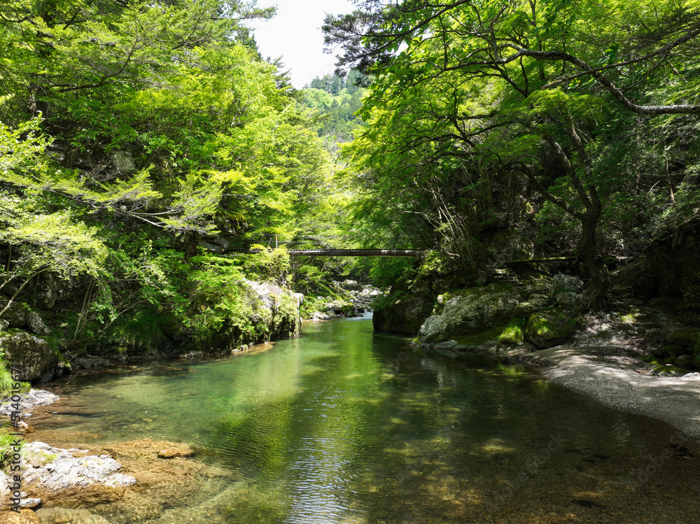 愛媛県内子町 小田深山渓谷 廻り岩周辺の風景 愛媛県内子町 小田深山渓谷 廻り岩周辺の風景
