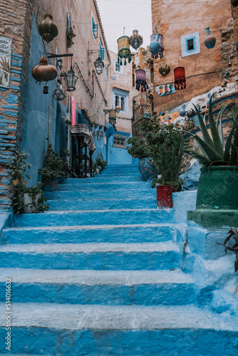 Blaue Treppen in Chefchaouen morocco und Pflanzen 1 © Marlon