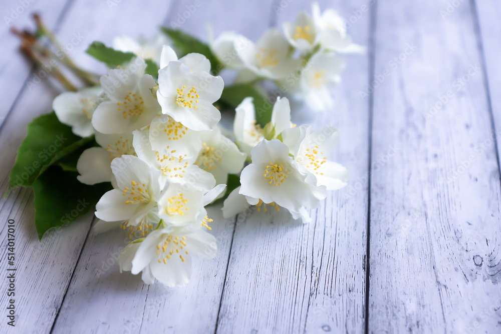 White jasmine flowers on a white wooden background. White jasmine flowers on a white wooden background.