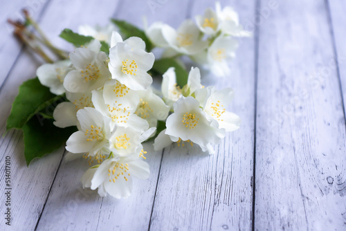 White jasmine flowers on a white wooden background. © ostapenkonat
