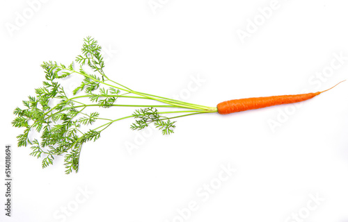 Einzelne Karotte mit Rübengrün auf weissem Hintergrund