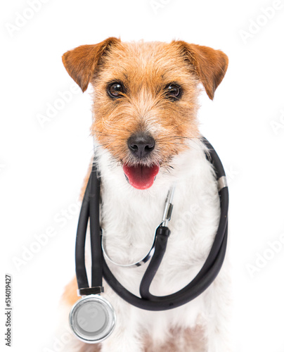 dog doctor veterinarian and stethoscope