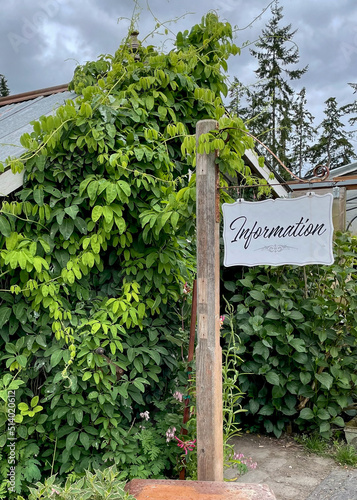 Information sign on a wooden post with green plants in the background