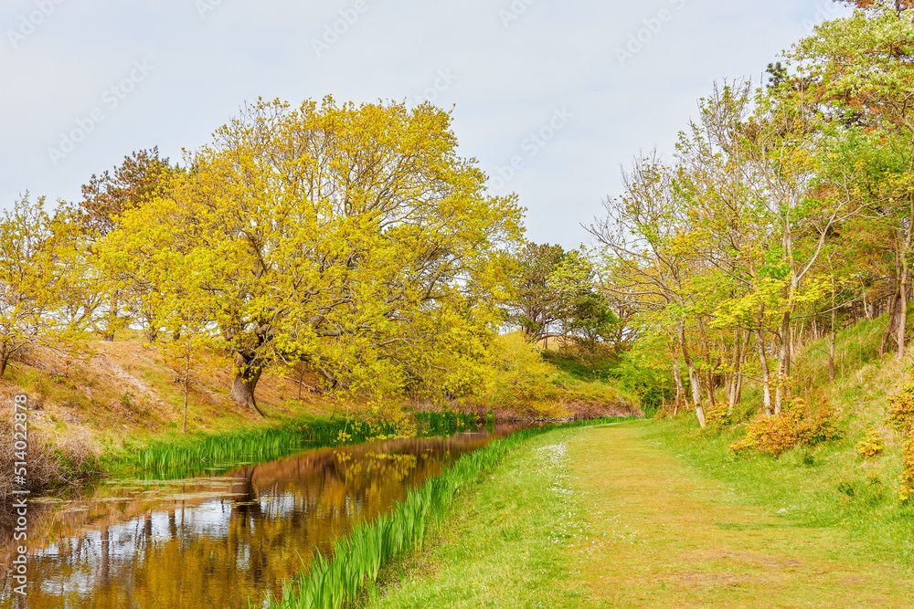 Landscape view of trees river and road in Nature park in Netherlands Landscape view of trees river and road in Nature park in Netherlands