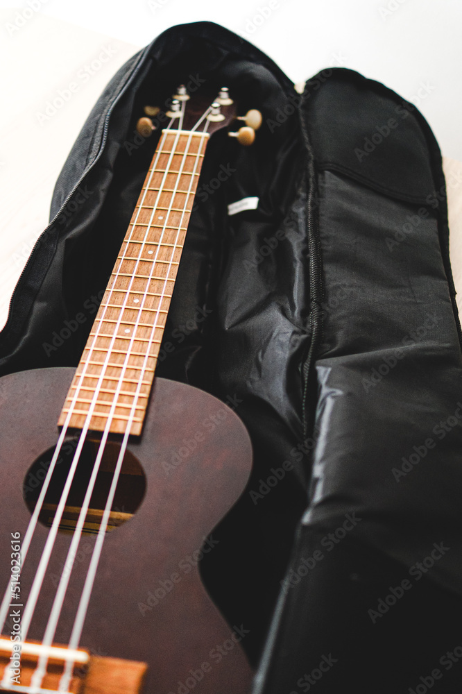 Fototapeta premium ukulele in his case