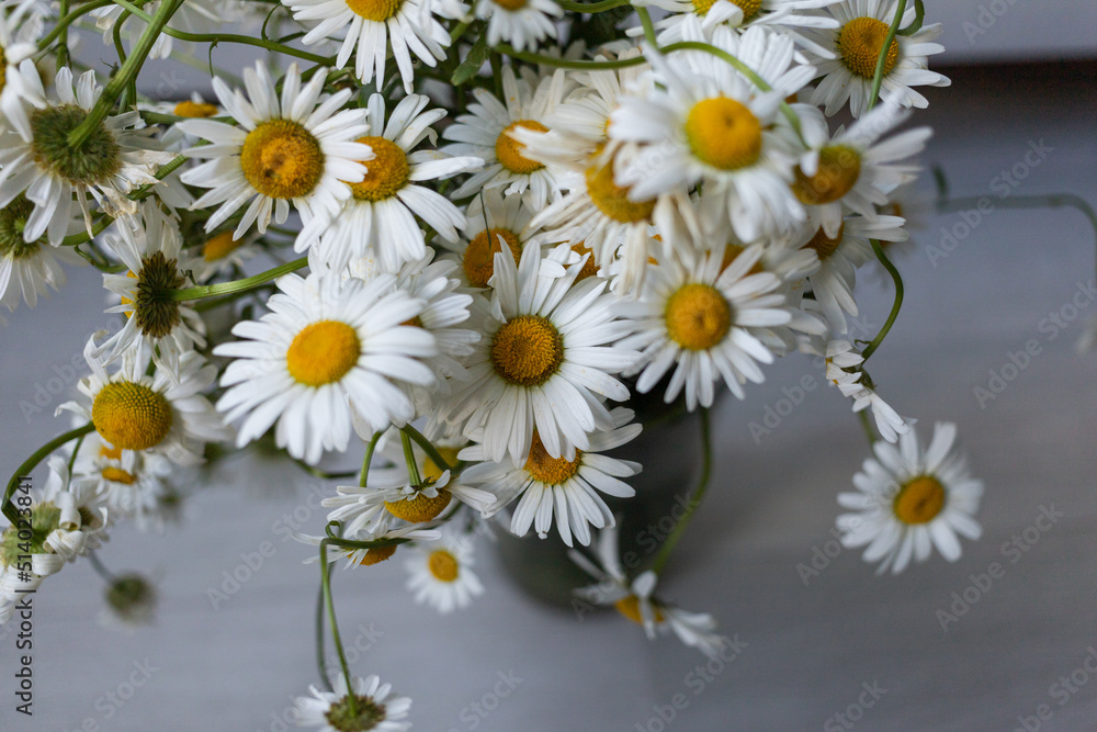 Fototapeta premium Bouquet of white daisies in a vase