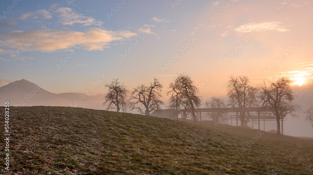 Misty sunrise over the farmlands of Slovenia. Sunlight is penetrating the trees and bushes. Misty sunrise over the farmlands of Slovenia. Sunlight is penetrating the trees and bushes.
