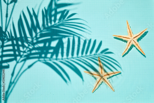 Shadow of a palm tree on a Blue water background © vetre