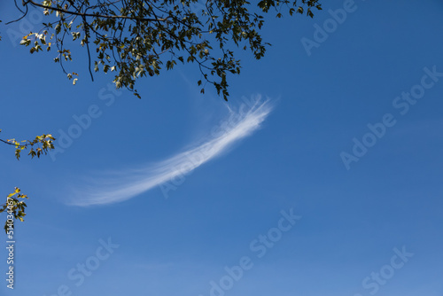 A white wispy Cirrus cloud floating in the blue sky