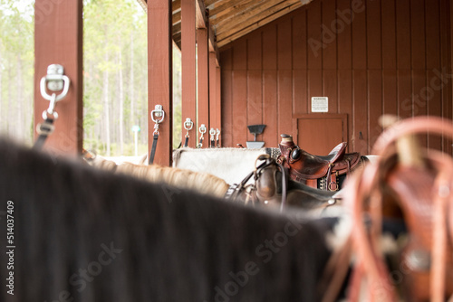 horses waiting in crossties 