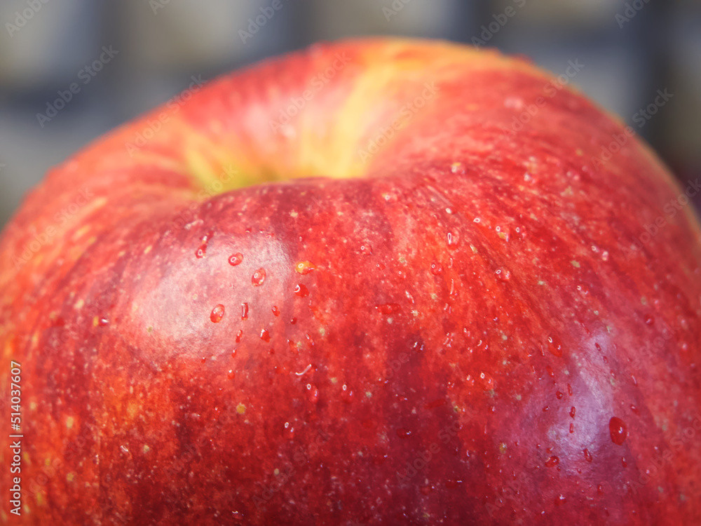 A large ripe gala apple, a close-up shot. A large ripe gala apple, a close-up shot.