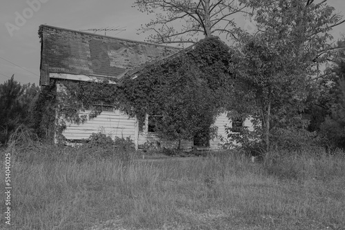 old abandoned farm house