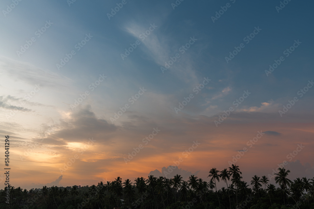 Bright sunset over ocean palms