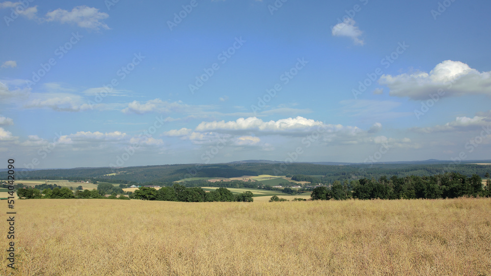 Reinhardswald in Nordhessen in ländlicher Umgebung mit blauem Himmel und Wolken im Sommer