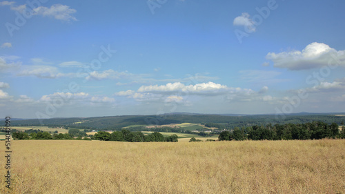 Reinhardswald in Nordhessen in l  ndlicher Umgebung mit blauem Himmel und Wolken im Sommer