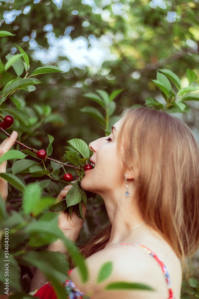 Girl in the cherry orchard in the evening Girl in the cherry orchard in the evening