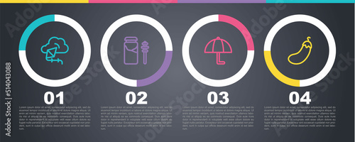 Set line Kite, Jar of honey and dipper stick, Umbrella and Eggplant. Business infographic template. Vector