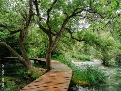 Wooden walkway, trees and water in Krka National Park, Croatia