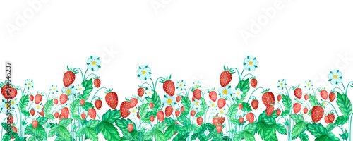 Seamless summer berries banner with ripe mature red strawberries with grass on wild meadow on white background with copy space. Isolated aquarelle watercolour element for web design