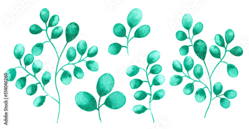 Hand drawn watercolor light and dark green colored wild plants with round leaves isolated on white background. Aquarelle set of design elements.
