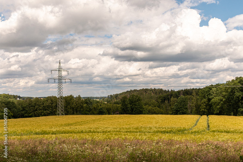 Green energy landscape photo. High-voltage tower in the middle of a yellow German field