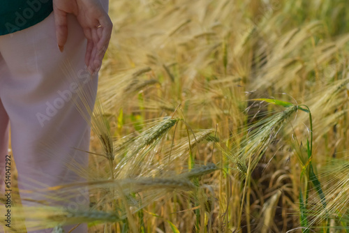 person in wheat field