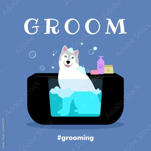 The dog is washing in a grooming salon