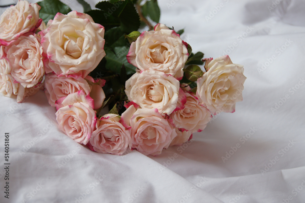bouquet of beautiful roses on the white background bouquet of beautiful roses on the white background