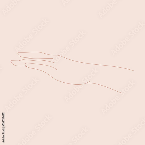Graceful gestures by female hands, vector line art, element for design, logo.
