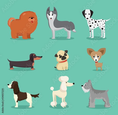 Cute dogs collection. Vector illustration of cartoon different breeds dogs, such as alaskan malamute, corgi, samoyed, border collie, doberman pinscher and pug in flat style.
