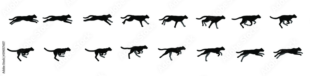 Wild cat running. Animation. Vector illustration.
